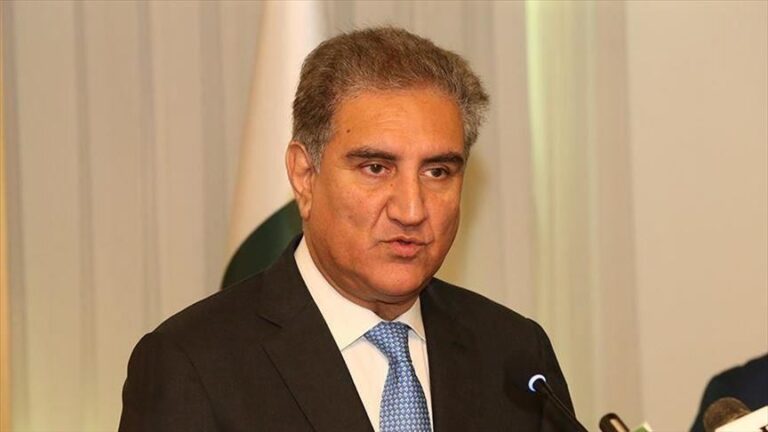 شاه محمود قريشي : ممارسات الهند في كشمير ’إبادة جماعية‘